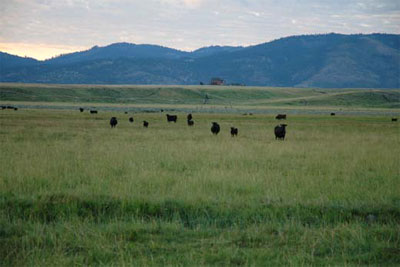 Conservation Easements – Northwest Rangeland Trust